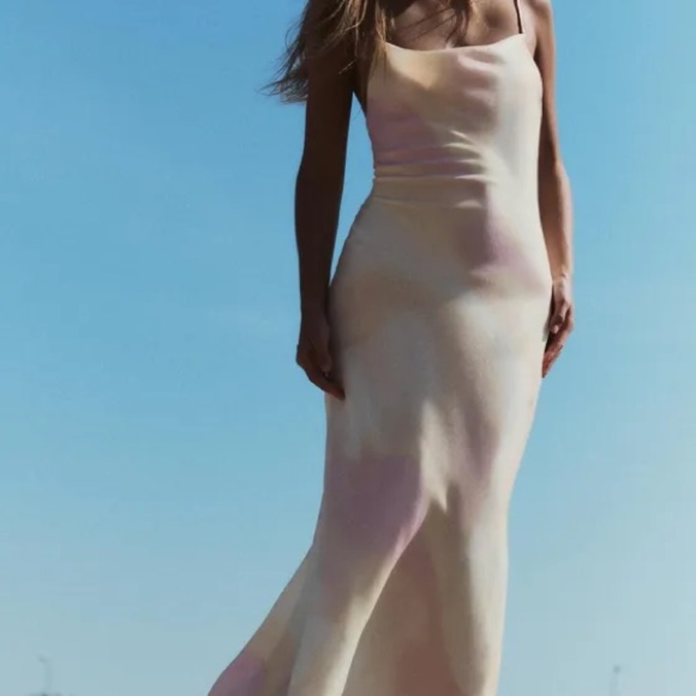 Zara Cream and Pink Maxi Dress